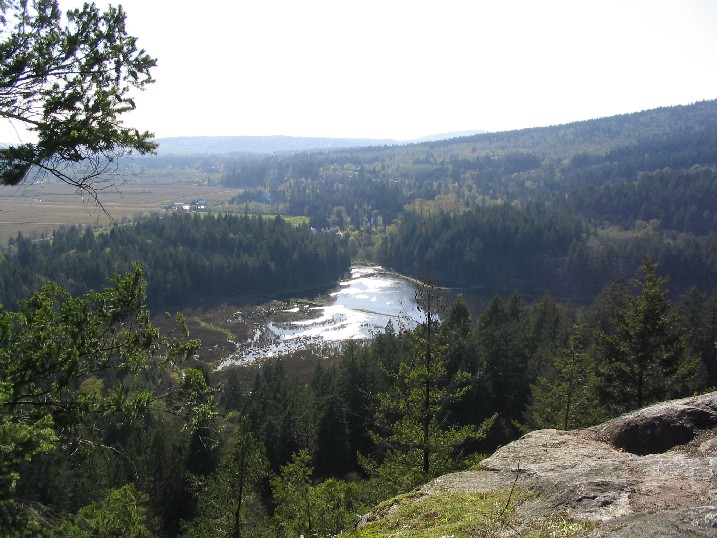 I took this from "the low knoll"