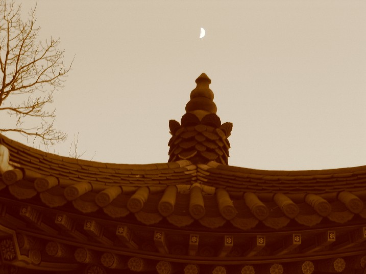 Another special effects shot, with a Sepia shade added. Sheer visual poetry if you don't mind me saying so.